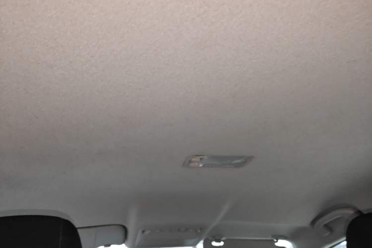Used Nissan Sylphy EV 2018 Smart Edition Custom Version Headliner