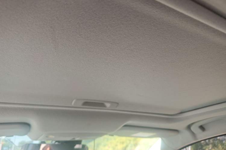 Used Nissan Sylphy EV 2018 ZhiZun Edition Headliner