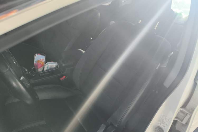 Used Nissan Sylphy EV 2018 ZhiZun Edition Left Front Seat