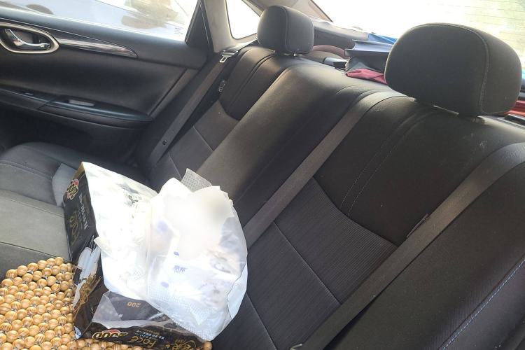 Used Nissan Sylphy EV 2018 Smart Edition Custom Version Left Rear Seat