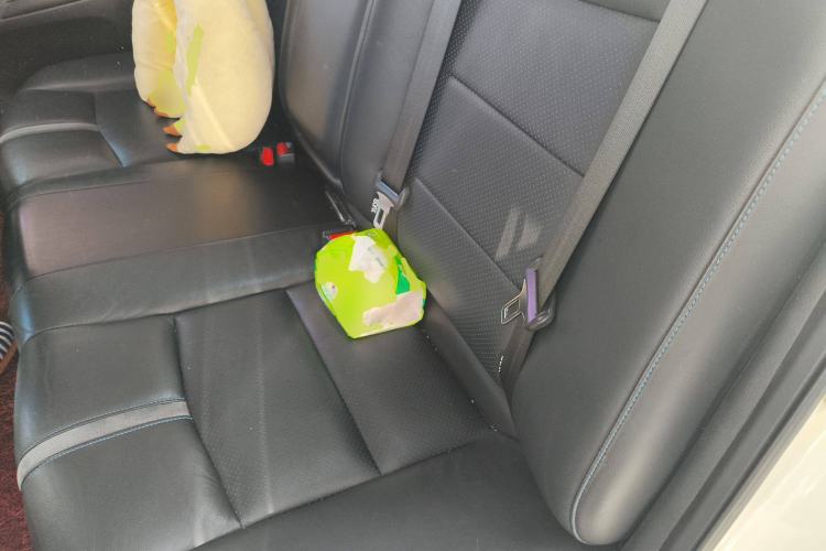 Used Nissan Sylphy EV 2018 ZhiZun Edition Left Rear Seat