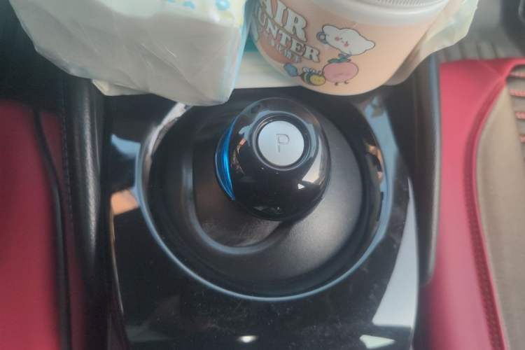 Used Nissan Sylphy EV 2020 Comfort Edition Gear Lever