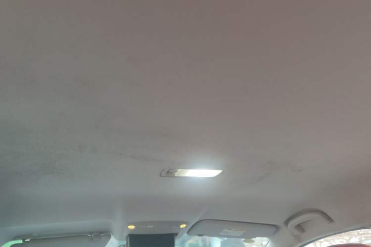 Used Nissan Sylphy EV 2020 Comfort Edition Headliner