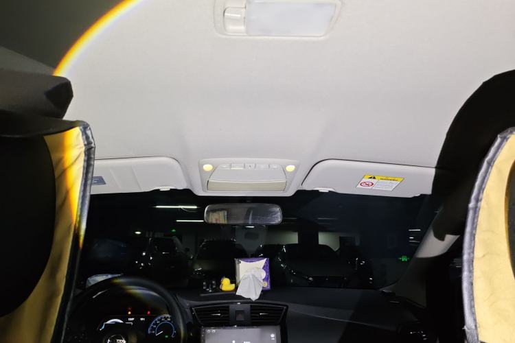 Used Nissan Sylphy EV 2020 Comfort Edition Headliner