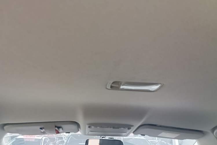 Used Nissan Sylphy EV 2020 Comfort Edition Headliner