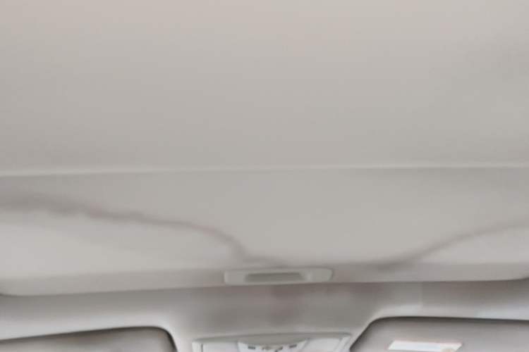 Used Nissan Teana 2008 2.5L XL Leading Edition Headliner