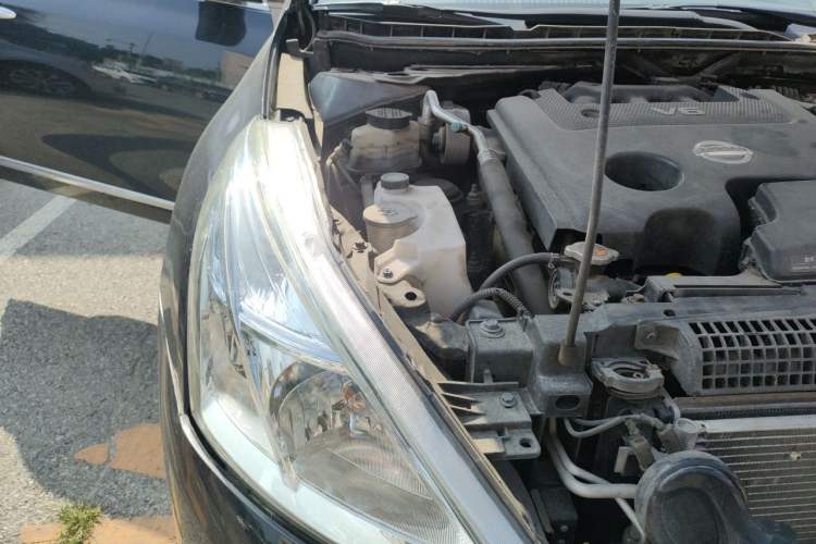 Used Nissan Teana 2008 2.5L XL Leading Edition Right Front Headlight