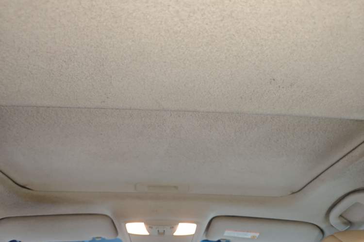 Used Nissan Teana 2008 2.5L XL Leading Edition Headliner