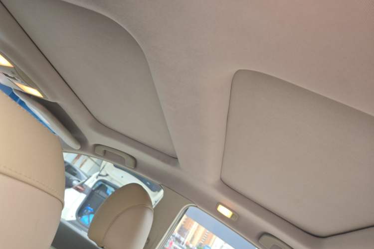 Used Nissan Teana 2009 Duke 2.5L XV VIP Deluxe Edition Headliner