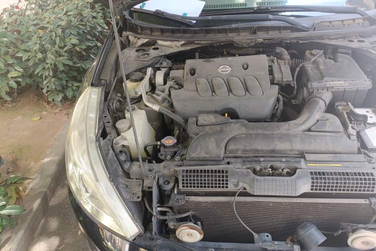 Used Nissan Teana 2010 2.0L XL Anniversary Edition Engine Bay Right