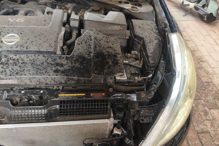 Used Nissan Teana 2011 2.5L XL Advanced Edition Engine Bay Left