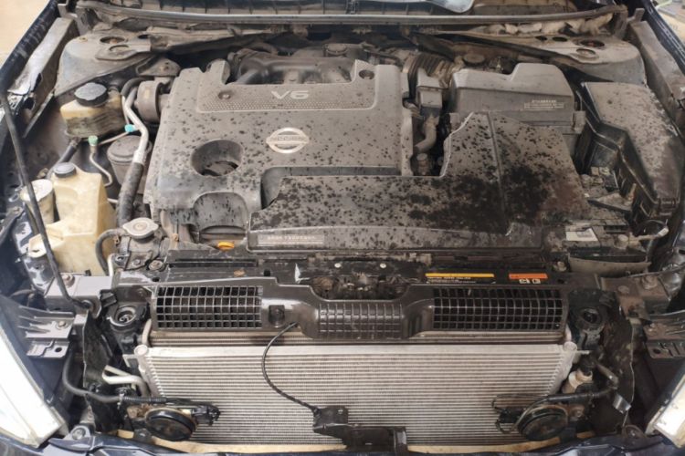 Used Nissan Teana 2011 2.5L XL Advanced Edition Engine Bay