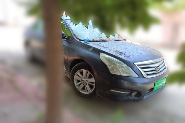 Used Nissan Teana 2011 2.0L XL Comfort Edition Front Right 45 Deg