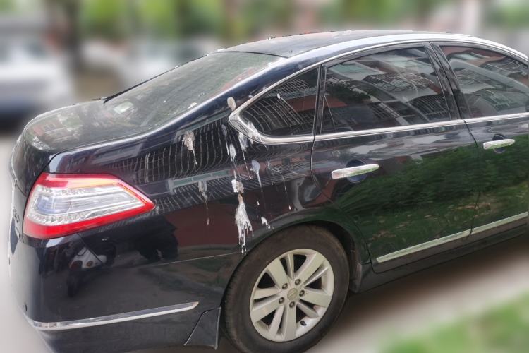 Used Nissan Teana 2011 2.0L XL Glory Edition Rear Right 45 Deg