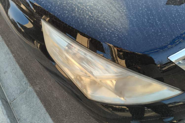 Used Nissan Teana 2011 2.0L XL Glory Edition Right Front Headlight