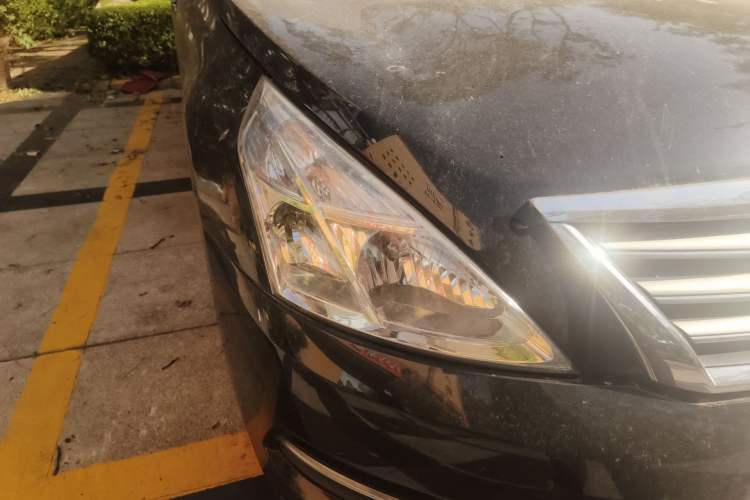 Used Nissan Teana 2011 2.0L XL Comfort Edition Right Front Headlight