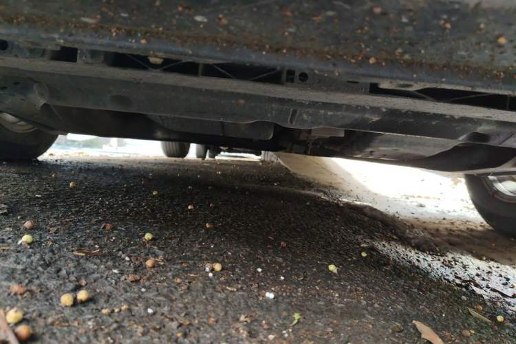 Used Nissan Teana 2011 2.0L XL Comfort Edition Chassis Front