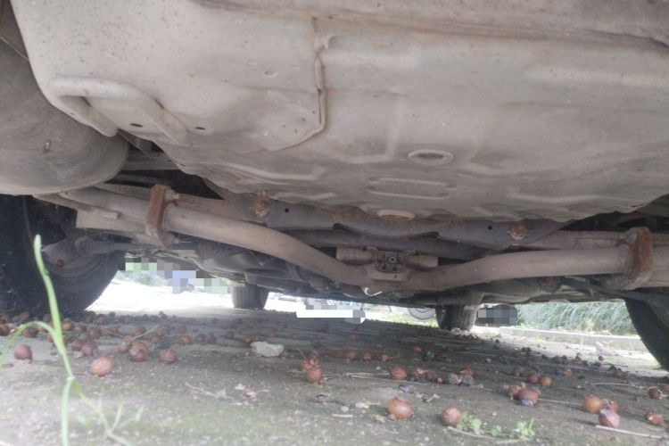 Used Nissan Teana 2011 2.0L XL Comfort Edition Chassis Rear