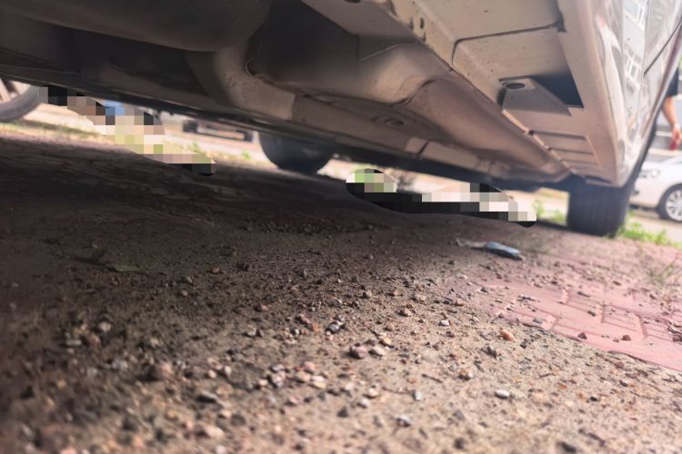 Used Nissan Teana 2011 2.5L XL Advanced Edition Chassis Rear Right