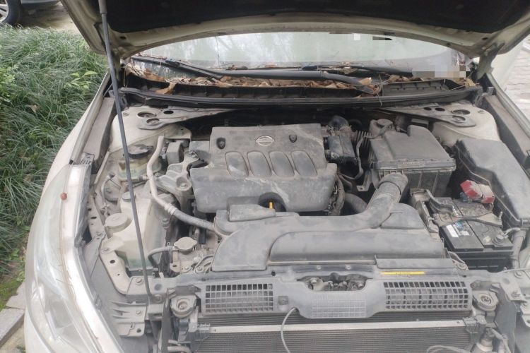 Used Nissan Teana 2011 2.0L XL Comfort Edition Engine Bay Right