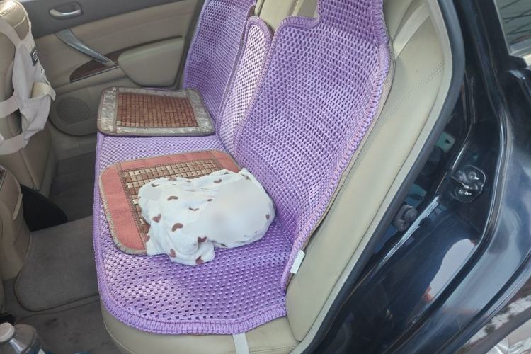 Used Nissan Teana 2012 2.0L XL Smart Enjoyment Version Left Rear Seat