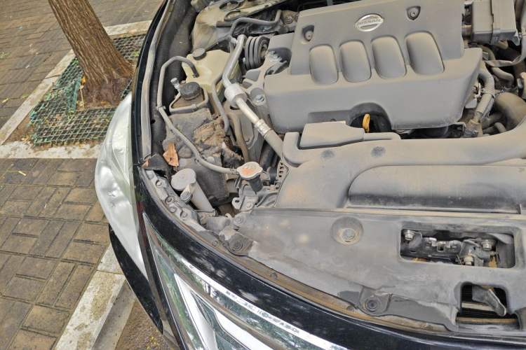 Used Nissan Teana 2013 2.0L XL Comfort Edition Engine Bay Right