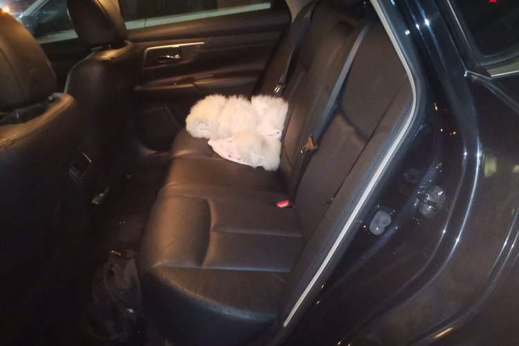Used Nissan Teana 2013 2.0L XL Comfort Edition Left Rear Seat