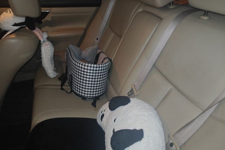 Used Nissan Teana 2013 2.0L XL Comfort Edition Left Rear Seat