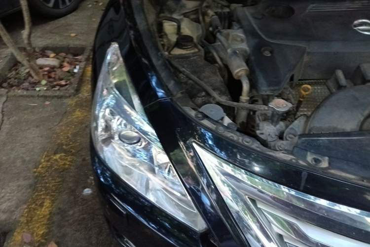 Used Nissan Teana 2013 2.5L XL Leading Edition Right Front Headlight