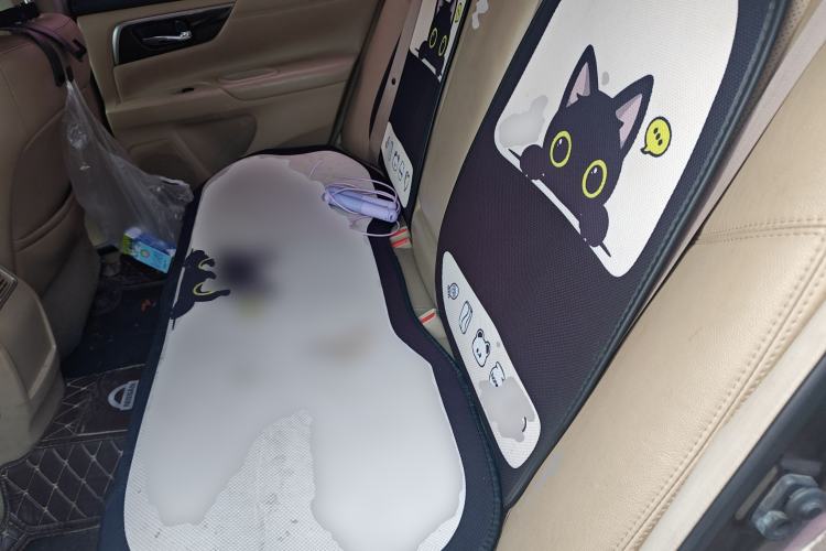 Used Nissan Teana 2013 2.0L XL Comfort Edition Left Rear Seat
