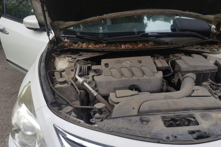 Used Nissan Teana 2013 2.0L XL Comfort Edition Engine Bay Right
