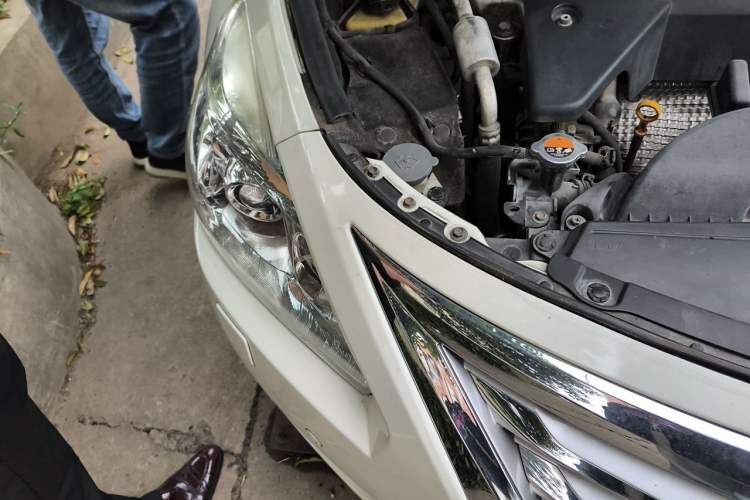 Used Nissan Teana 2013 2.5L XL Leading Edition Right Front Headlight