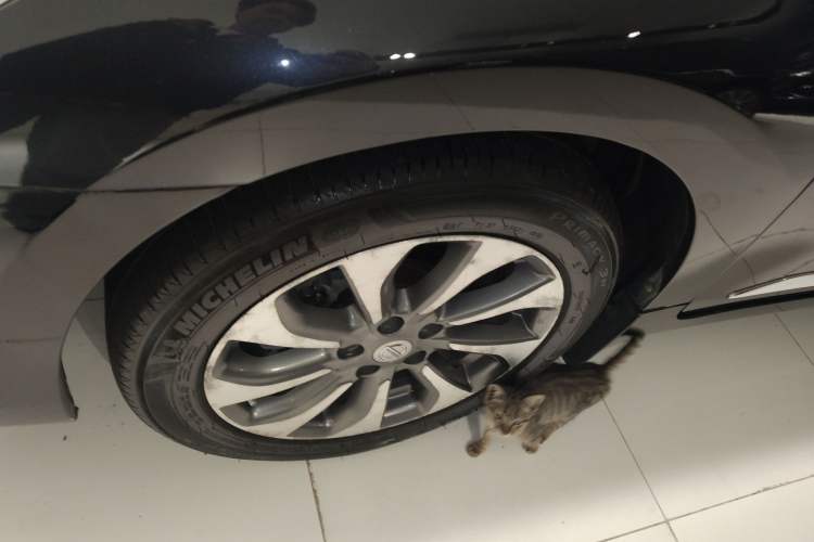Used Nissan Teana 2014 Duke 2.5L XV Deluxe Edition Exterior 7