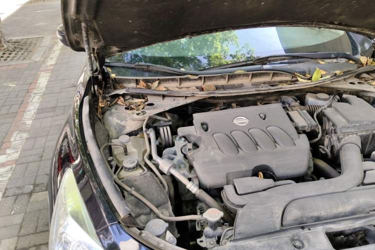 Used Nissan Teana 2015 2.0L XL Upper Champions League Tech Edition Engine Bay Right