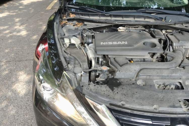Used Nissan Teana 2016 Revised Version 2.0L XL Comfort Edition Engine Bay Right