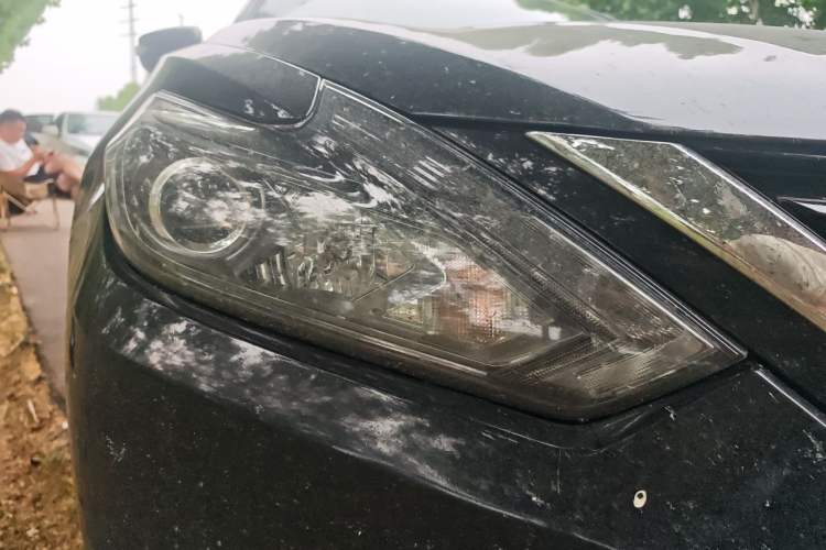 Used Nissan Teana 2016 2.0L XL Comfort Edition Right Front Headlight