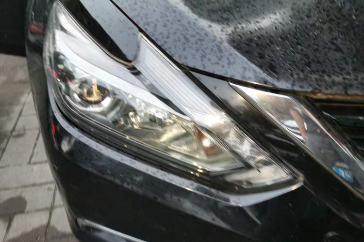 Used Nissan Teana 2016 Revised Version 2.0L XL Comfort Edition Right Front Headlight
