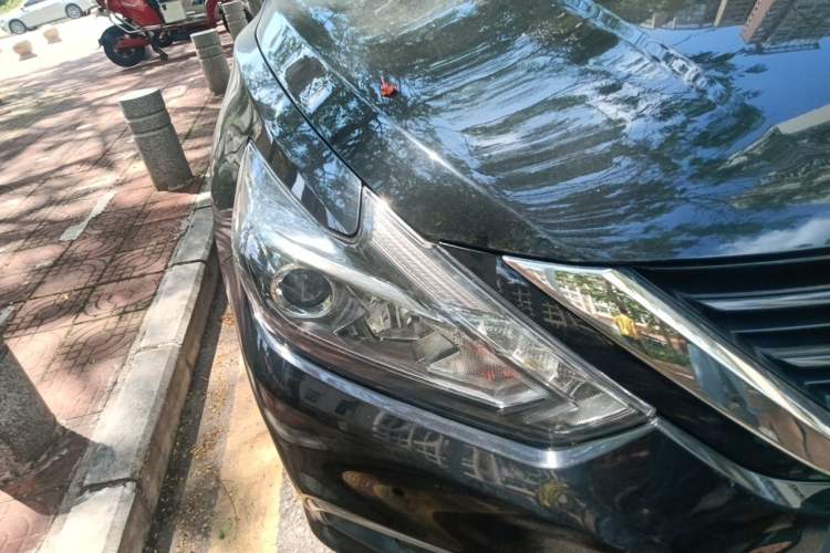 Used Nissan Teana 2016 Revised Version 2.0L XL Comfort Edition Right Front Headlight
