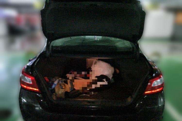 Used Nissan Teana 2016 2.0L XE Fashion Edition Trunk