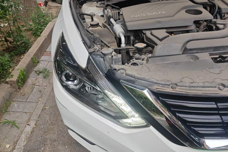 Used Nissan Teana 2016 2.0L XL Comfort Edition Right Front Headlight