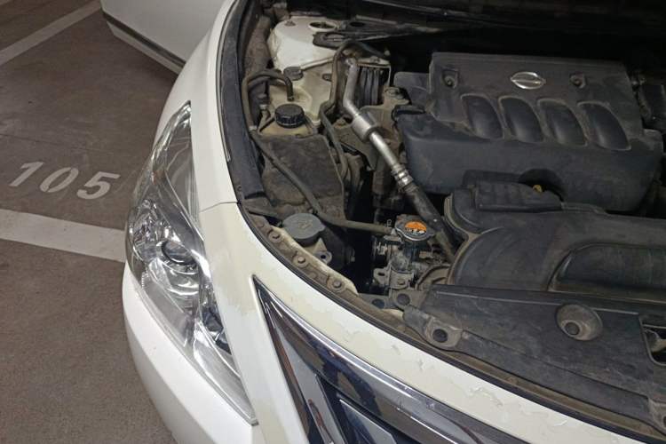 Used Nissan Teana 2016 2.0L XL Comfort Edition Right Front Headlight