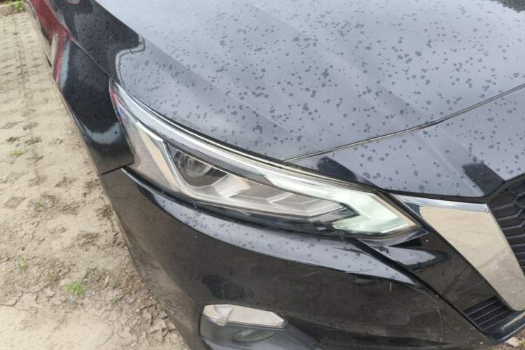 Used Nissan Teana 2019 2.0L XL Comfort Edition Right Front Headlight