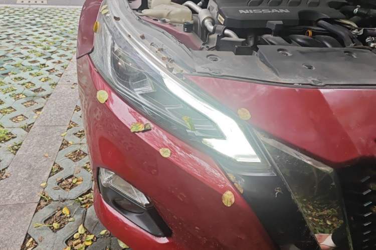 Used Nissan Teana 2019 2.0L XL Upper SmartDrive Version Exterior 6