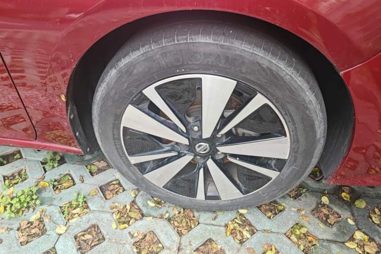 Used Nissan Teana 2019 2.0L XL Upper SmartDrive Version Exterior 7