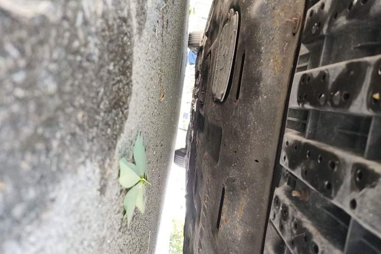 Used Nissan Teana 2019 2.0L XL Comfort Edition Chassis Front