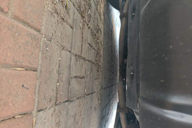 Used Nissan Teana 2019 2.0T XL Upper Smart Enjoyment Version Chassis Rear