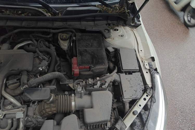 Used Nissan Teana 2019 2.0L XL Comfort Edition Engine Bay Left