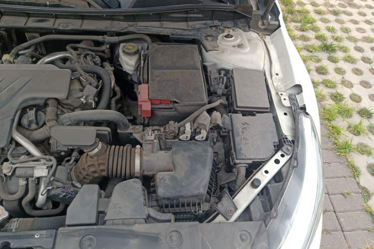 Used Nissan Teana 2019 2.0L XL Comfort Edition Engine Bay Left