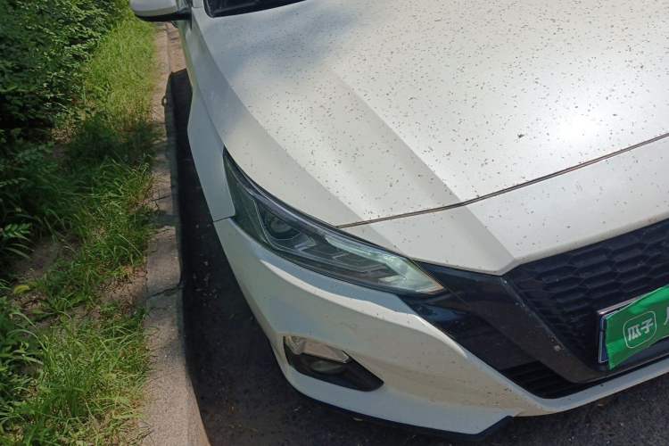 Used Nissan Teana 2019 2.0L XL Comfort Edition Right Front Headlight
