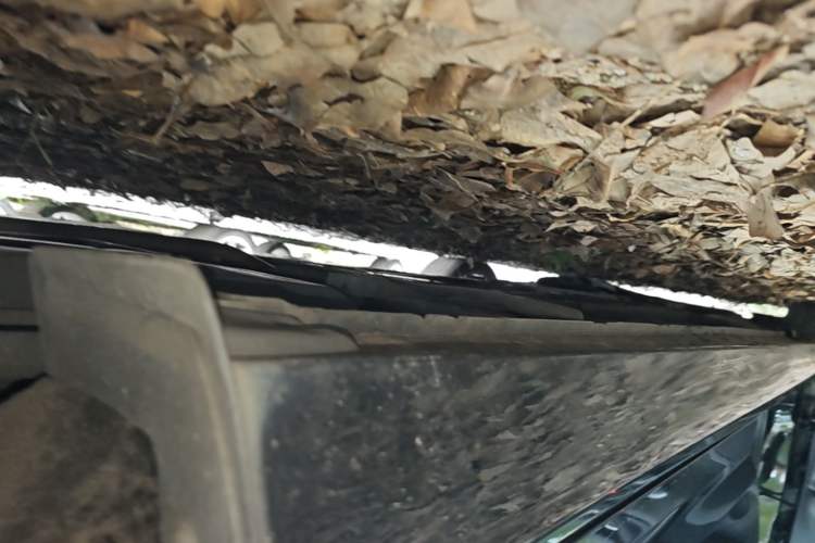 Used Nissan Teana 2020 2.0L XL Comfort Edition Left Side Sill